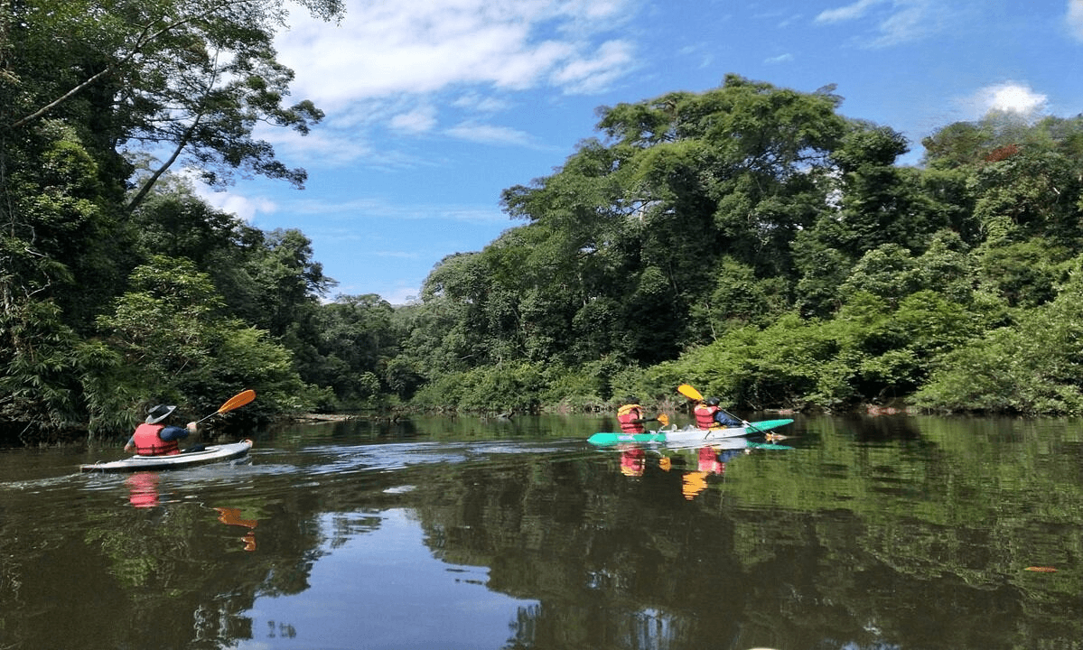 Ongerepte jungle ervaring in Endau Rompin